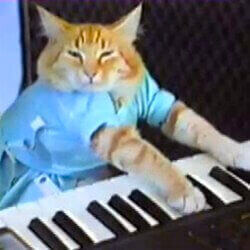 Keyboard Cat ロゴ
