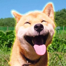 Maru Dog Logotyp