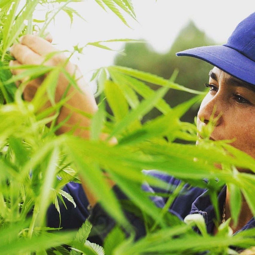 Flora Growth Corp.