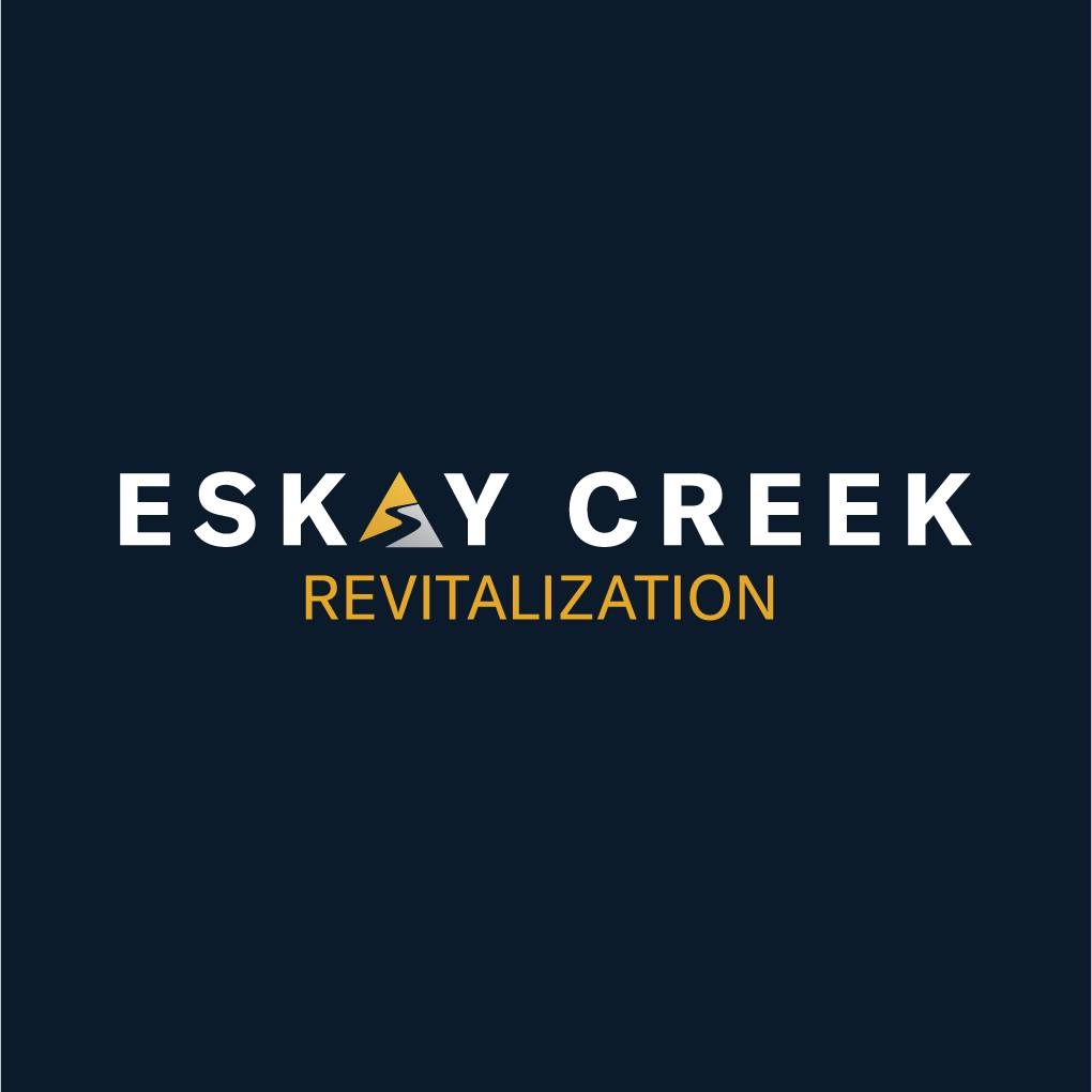 Skeena Resources Limited