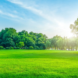 the greatest investment