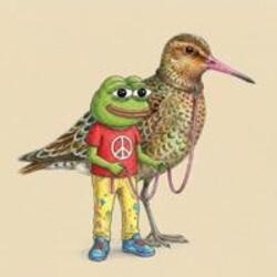 شعار Peace Frog