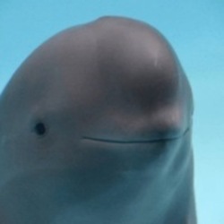 Logo Smiling Dolphin