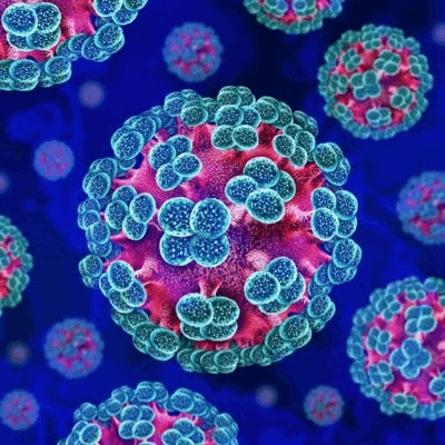 Hantavirus লোগো