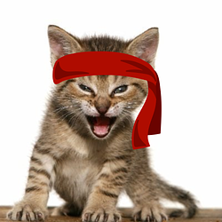 Red Kitten Crew