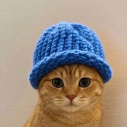 CATWIF