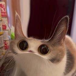 Logo de MEEP CAT