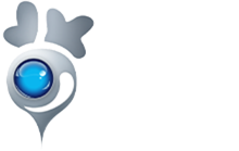 LOBO