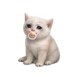 شعار Baby Cash Cat