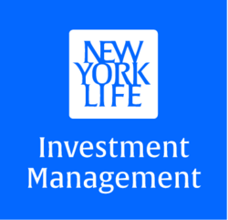 NYLIM US High Yield Bond Fund
