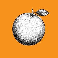 Логотип Orange Coin