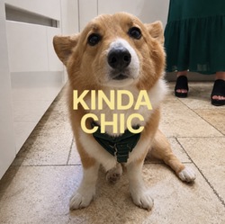Logo Kinda Chic