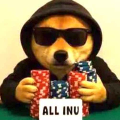 لوگو ALLINU