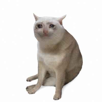 CASHCATUSDT