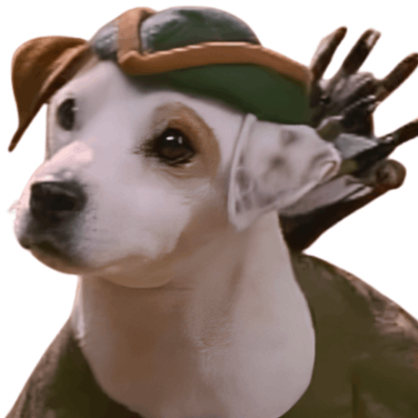 WISHBONEUSDT