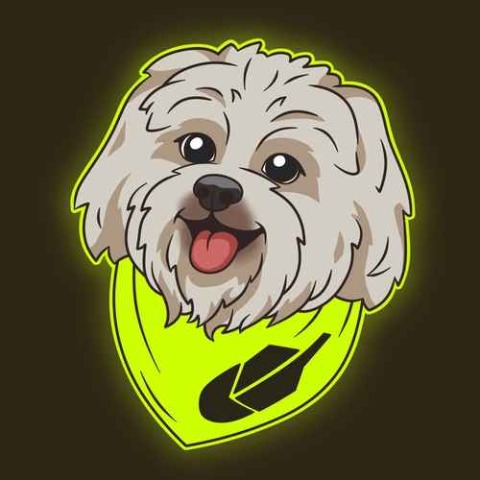 BRODIE/USDT