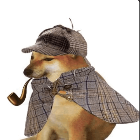 PIPEDOG/USDT