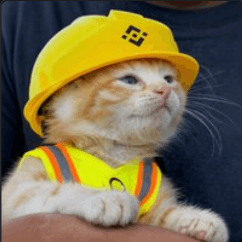 SUE/USDT
