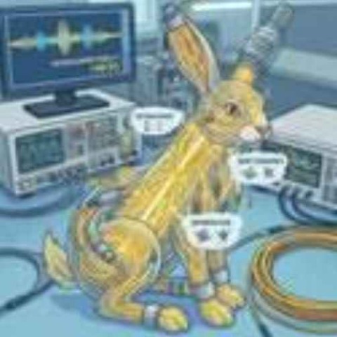 RABBIT/USDT